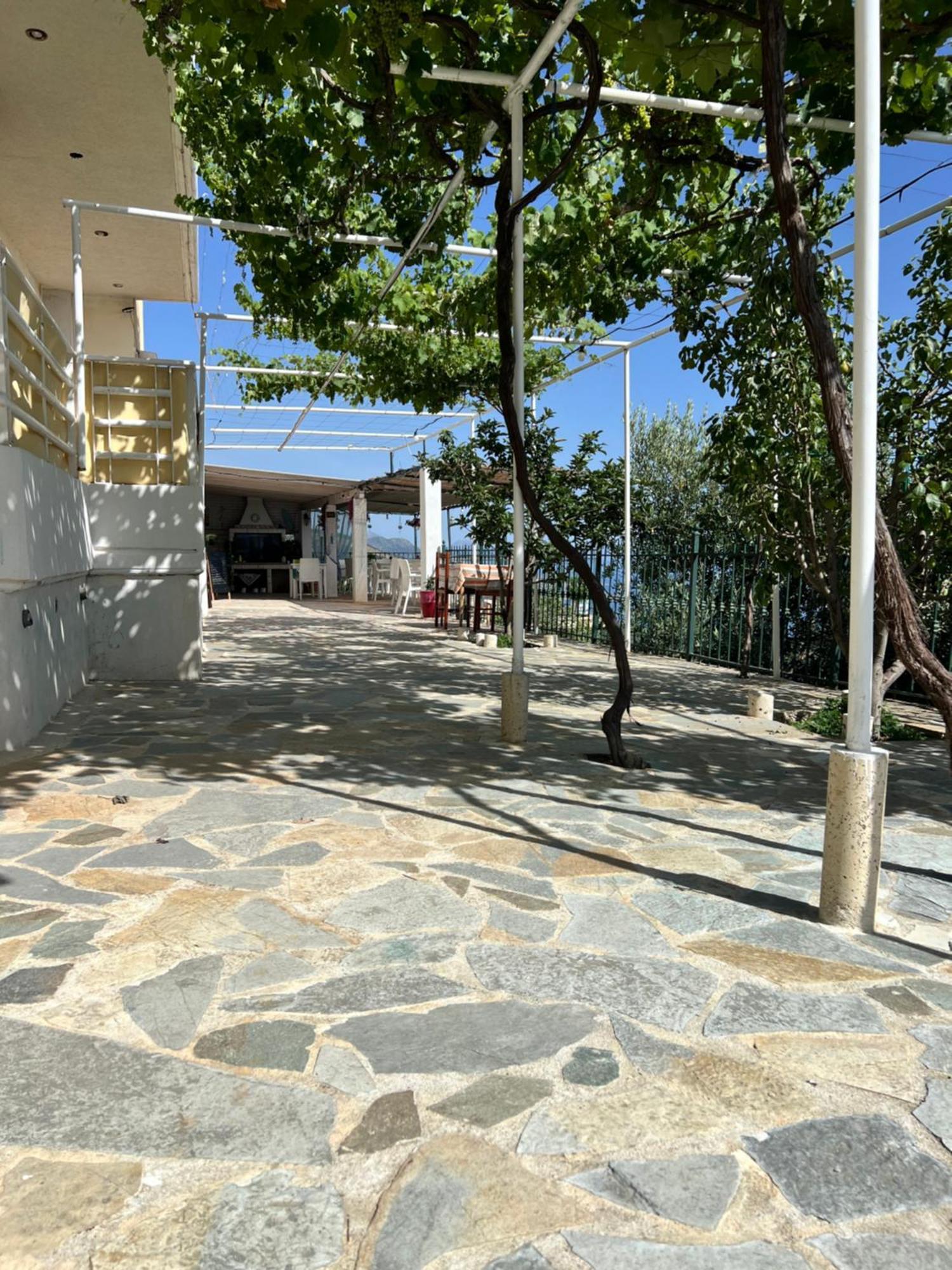 Villa Filip Vuno Exterior foto